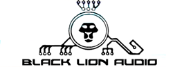 zZounds is an authorized dealer of Black Lion Audio Accessories