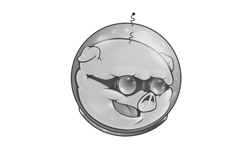 Authorized Pigtronix Retailer