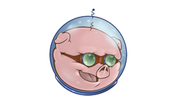Authorized Pigtronix Retailer