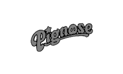 Authorized Pignose Retailer