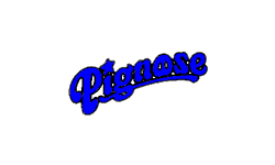 Authorized Pignose Retailer