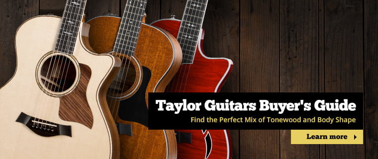 Taylor - Buying Guide